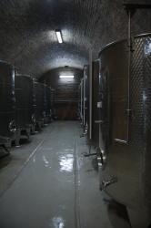 fruskogorski_vinogradi.jpg