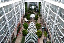 kruzer_oasis_of_the_seas_3.jpg
